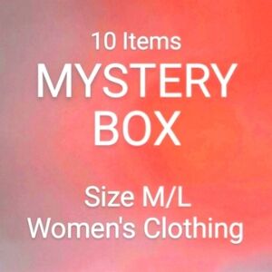 10 Item Mystery Box Women's Clothing Mix Top Dress Skirt Blouse Bundle